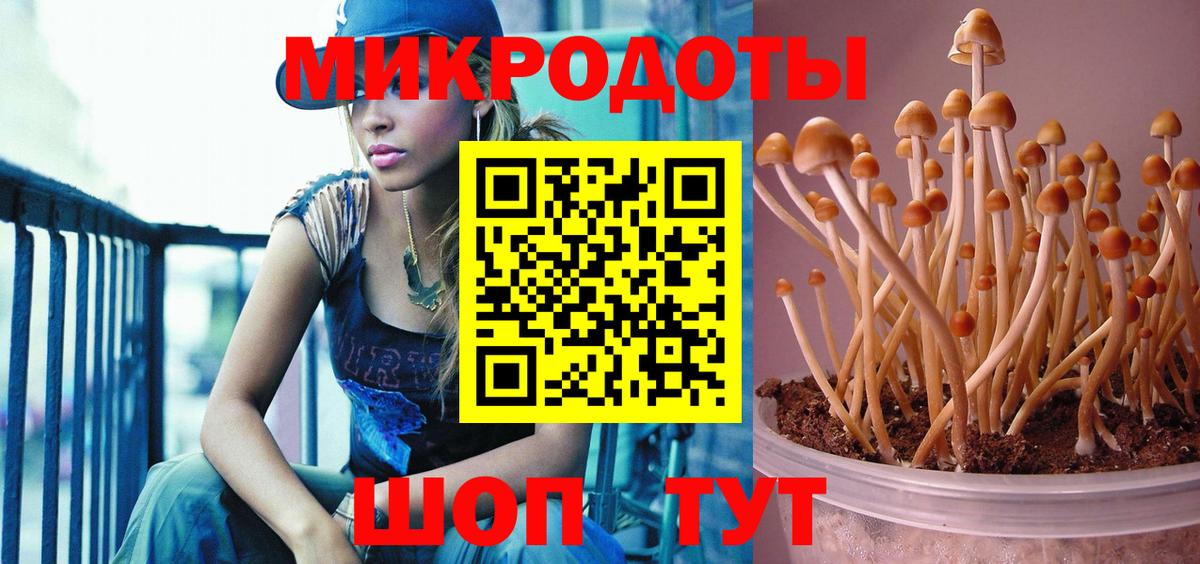 Жигулёвск  Псилоцибиновые грибы Cubensis  Псилоцибиновые грибы GOLDEN TEACHER  Вход с VPN 