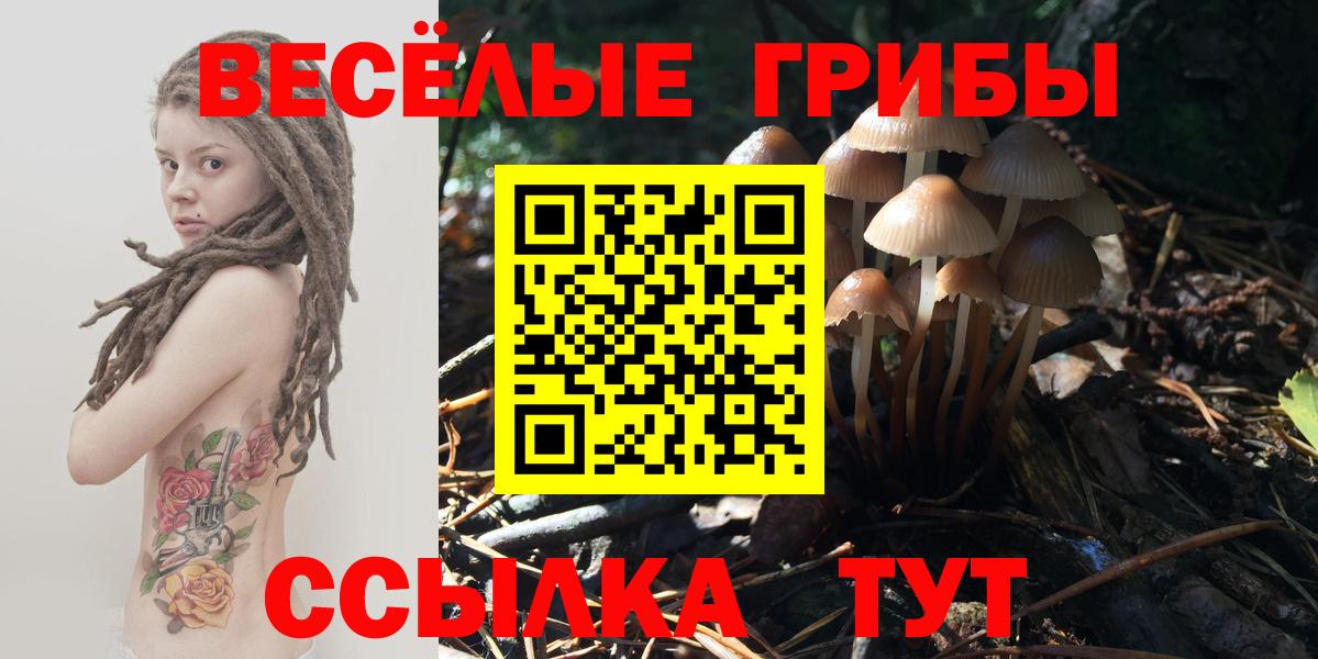 Галлюциногенные грибы мухоморы Жигулёвск